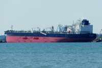 FRONT SAVANNAH