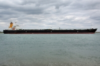 MARE AEGEUM