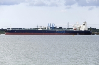MINERVA BALTICA