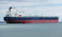 MINERVA DOXA