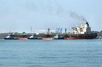 NORDIC MISTRAL