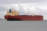 NS LION