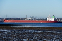 PACIFIC A. DORODCHI