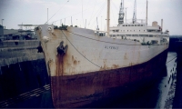 ALVENUS