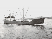 DUX II
