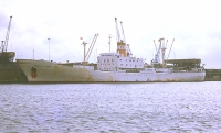 FRUBEL OCEANIA