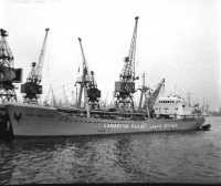 MARIA ANNA SCHULTE