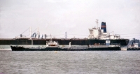 NEREIDE