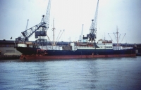 KIRSTI H