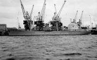 MARIA ANNA SCHULTE