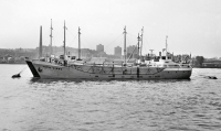 MARIA NIBBE