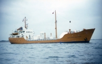 MARY ELSE THOLSTRUP