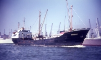 NEREUS