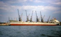 NORBROTT