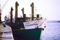 PIETER WINSEMIUS