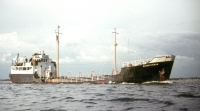 QUARTERMAN