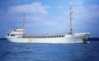 ROSELIL