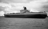 TOKYO BAY
