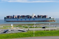 COSCO NETHERLANDS