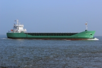 Arklow Rogue