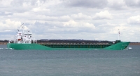 ARKLOW RAVEN