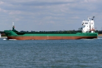 ARKLOW VIKING