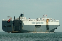 Hoegh Trotter