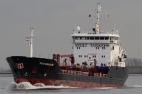 Stolt Kittiwake
