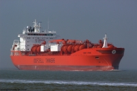 Bow Star