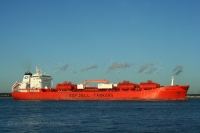Bow Star