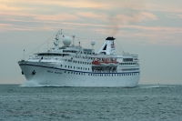 Ocean Majesty
