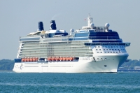 CELEBRITY SILHOUETTE