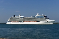 CELEBRITY SILHOUETTE