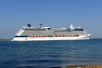 CELEBRITY SILHOUETTE