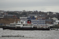 Royal Iris of the Mersey