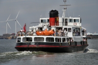 ROYAL IRIS OF THE MERSEY