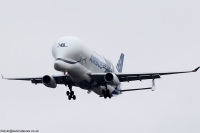 Airbus A330-7 Beluga F-GXLO